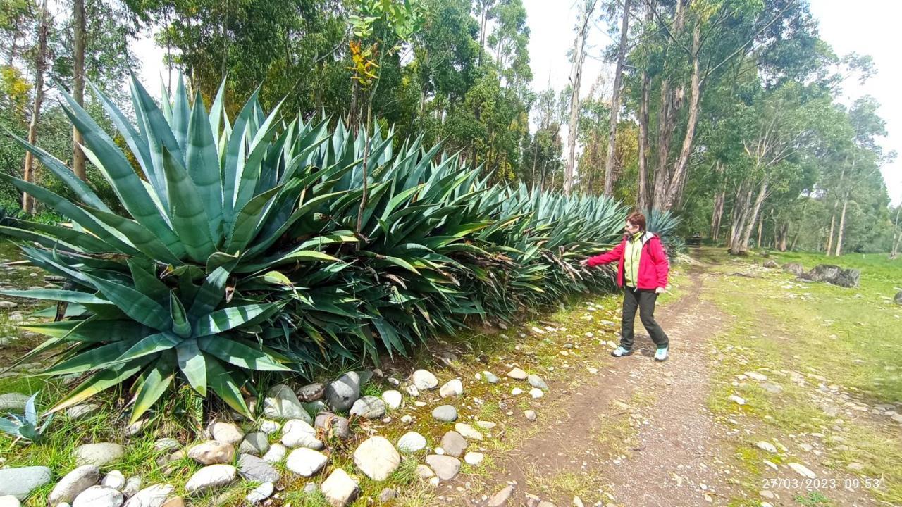 Pousada Villa Huaripampa Jauja Luaran gambar