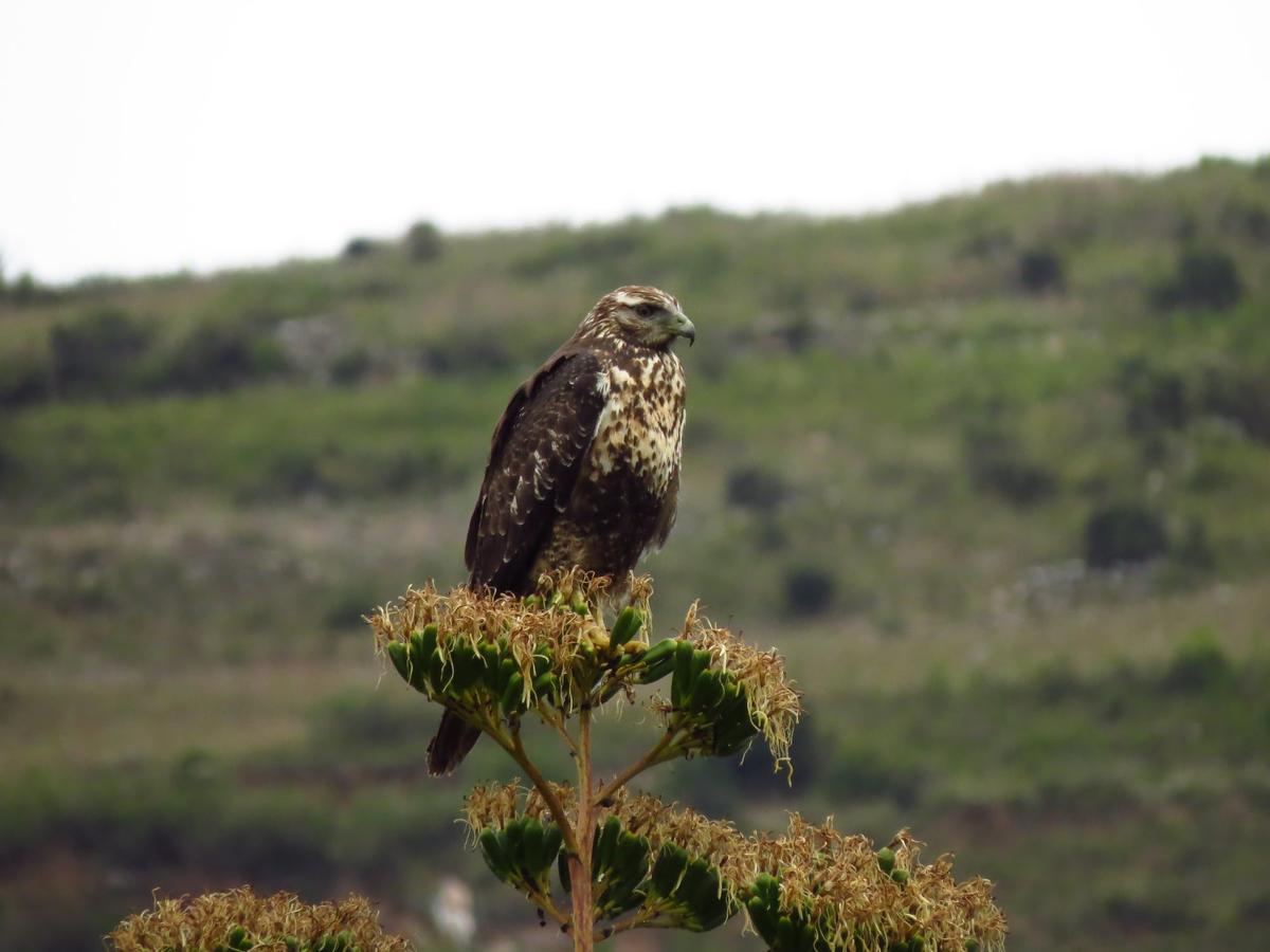 Pousada Villa Huaripampa Jauja Luaran gambar